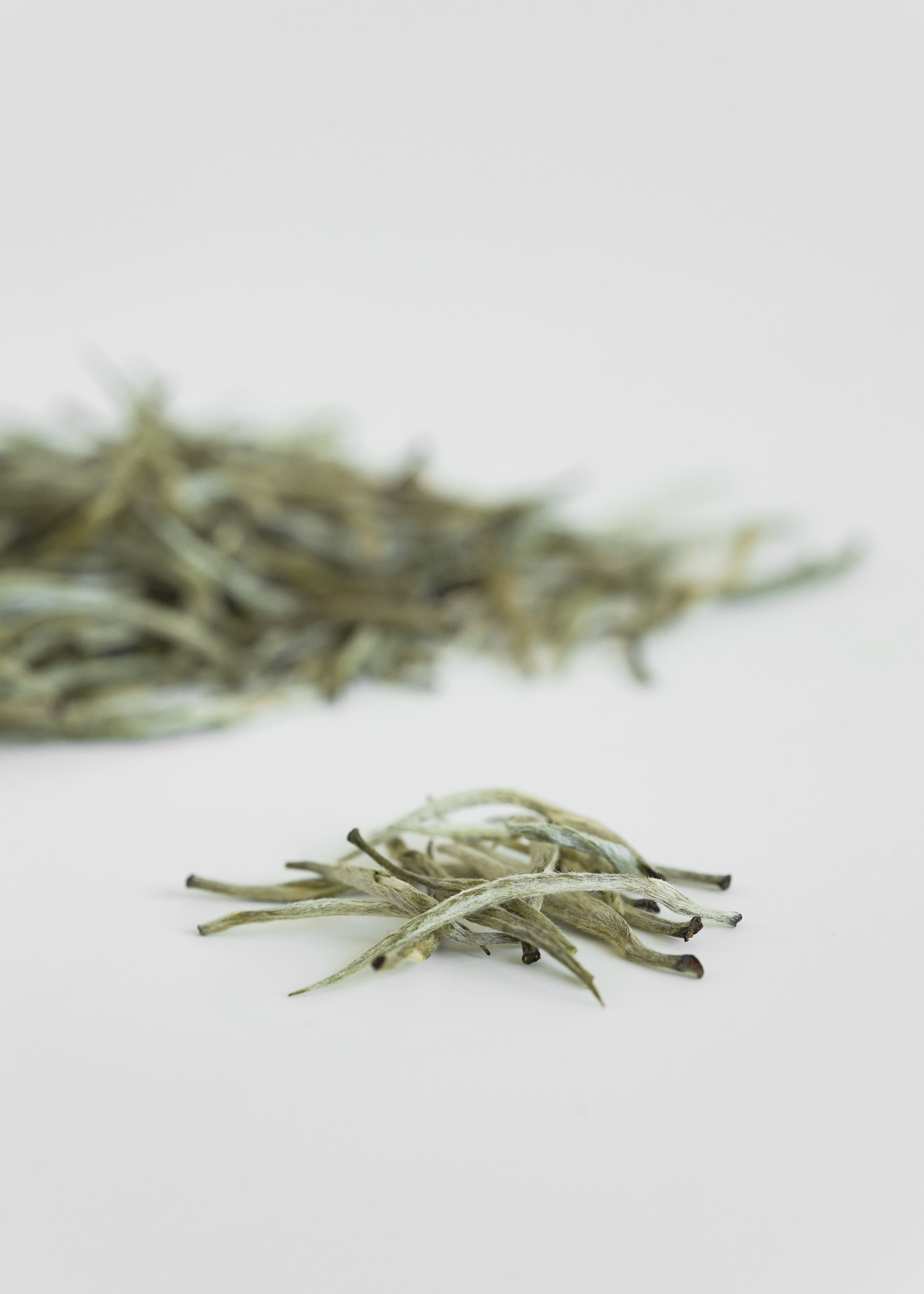 Dried herbs on a light gray background. Orchid yellow tea