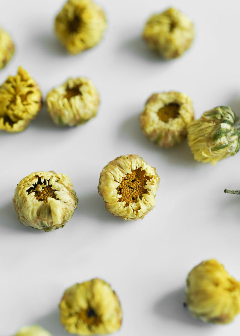 Dried yellow flowers on a white background