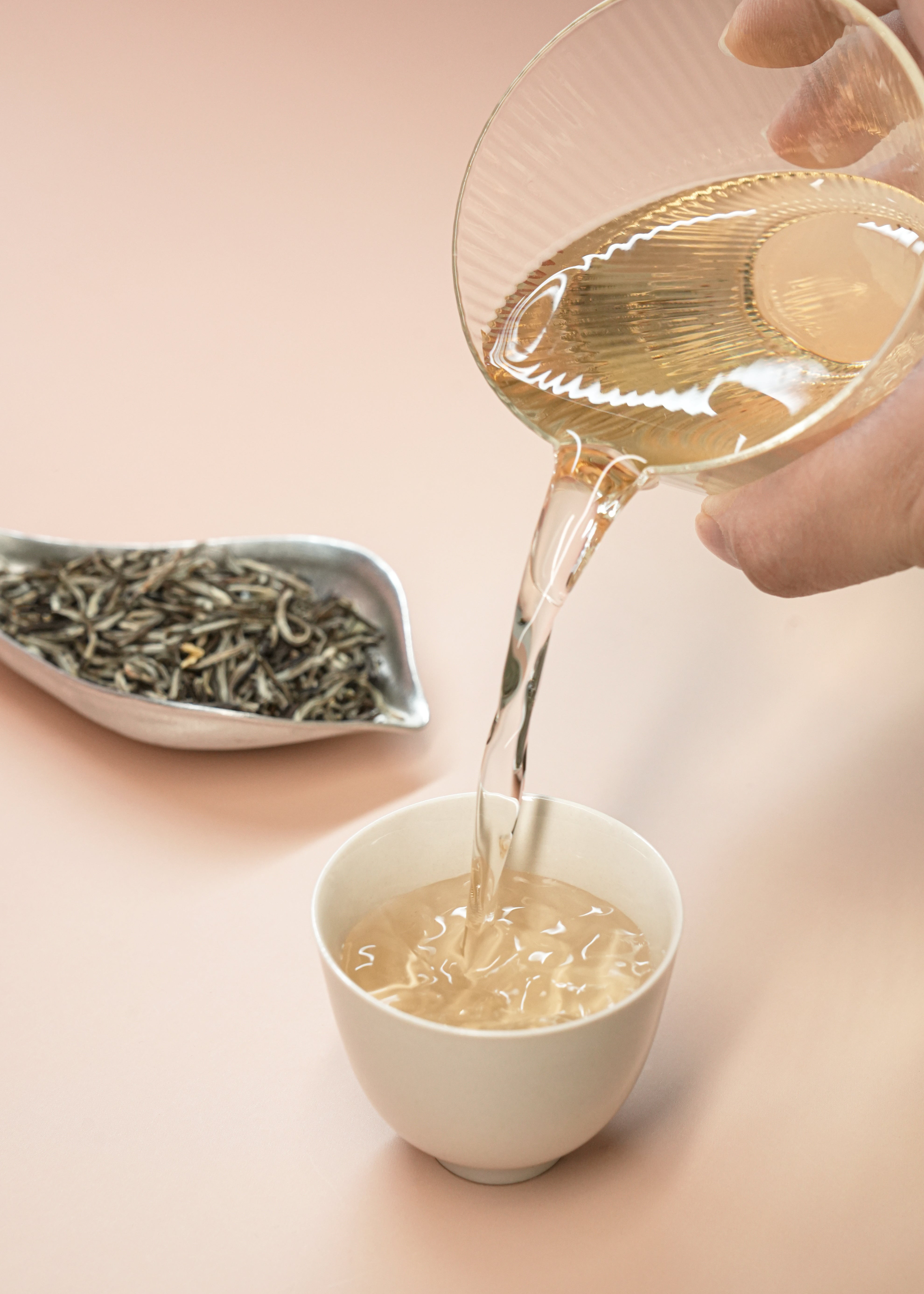 Jasmine Green Tea