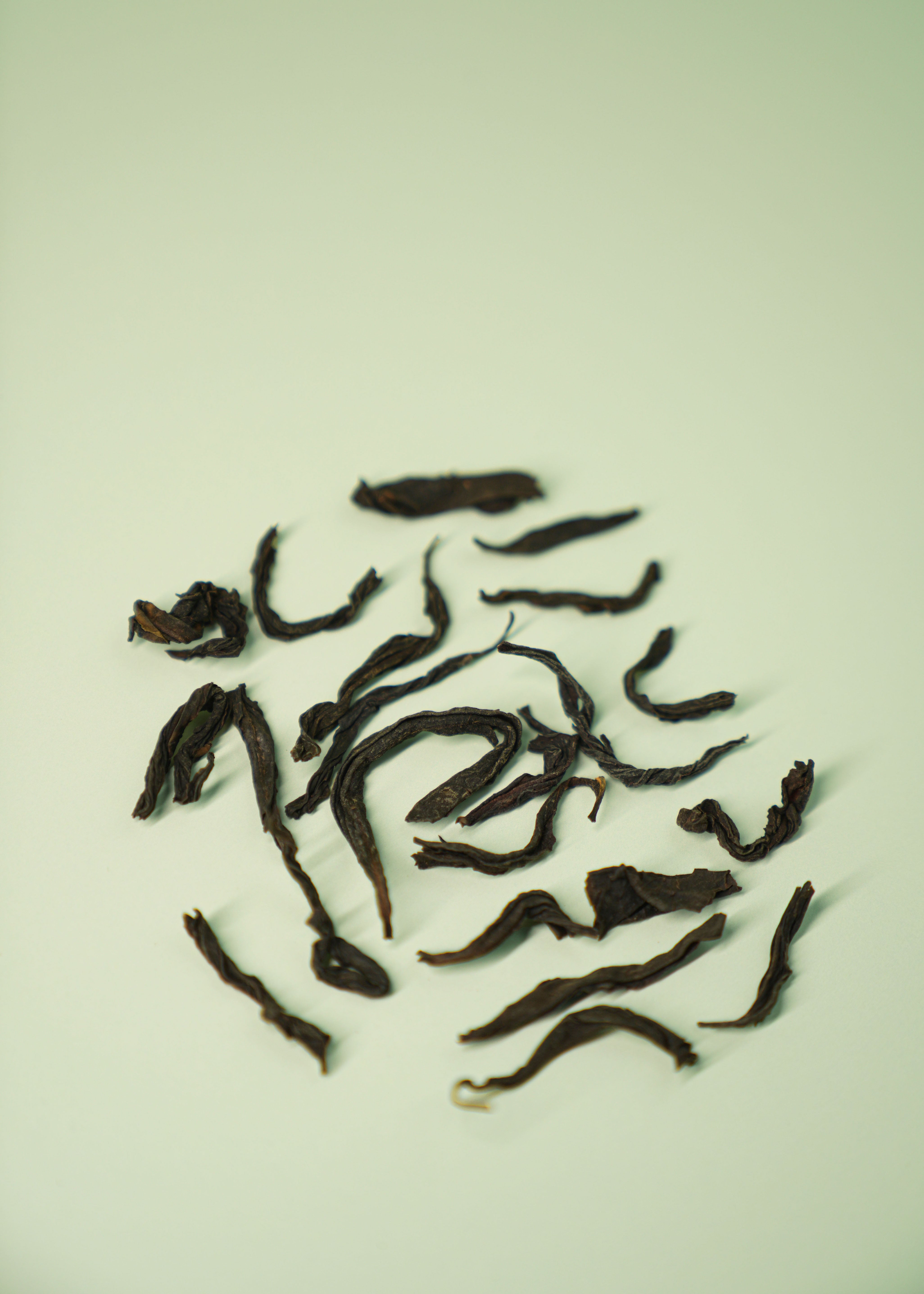 Pure Tea Sampler
