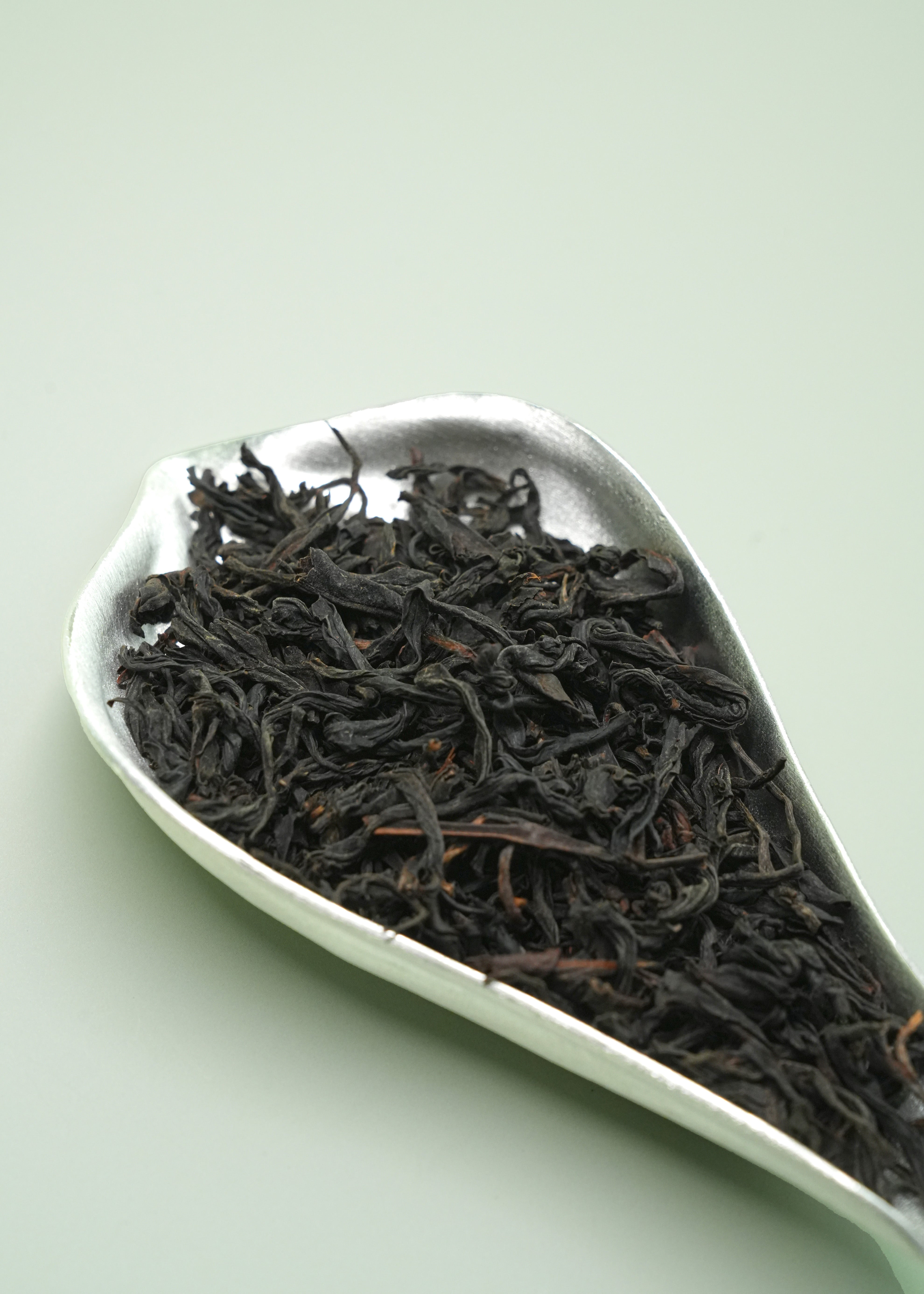 Wild Tree Black Tea - Black Tea
