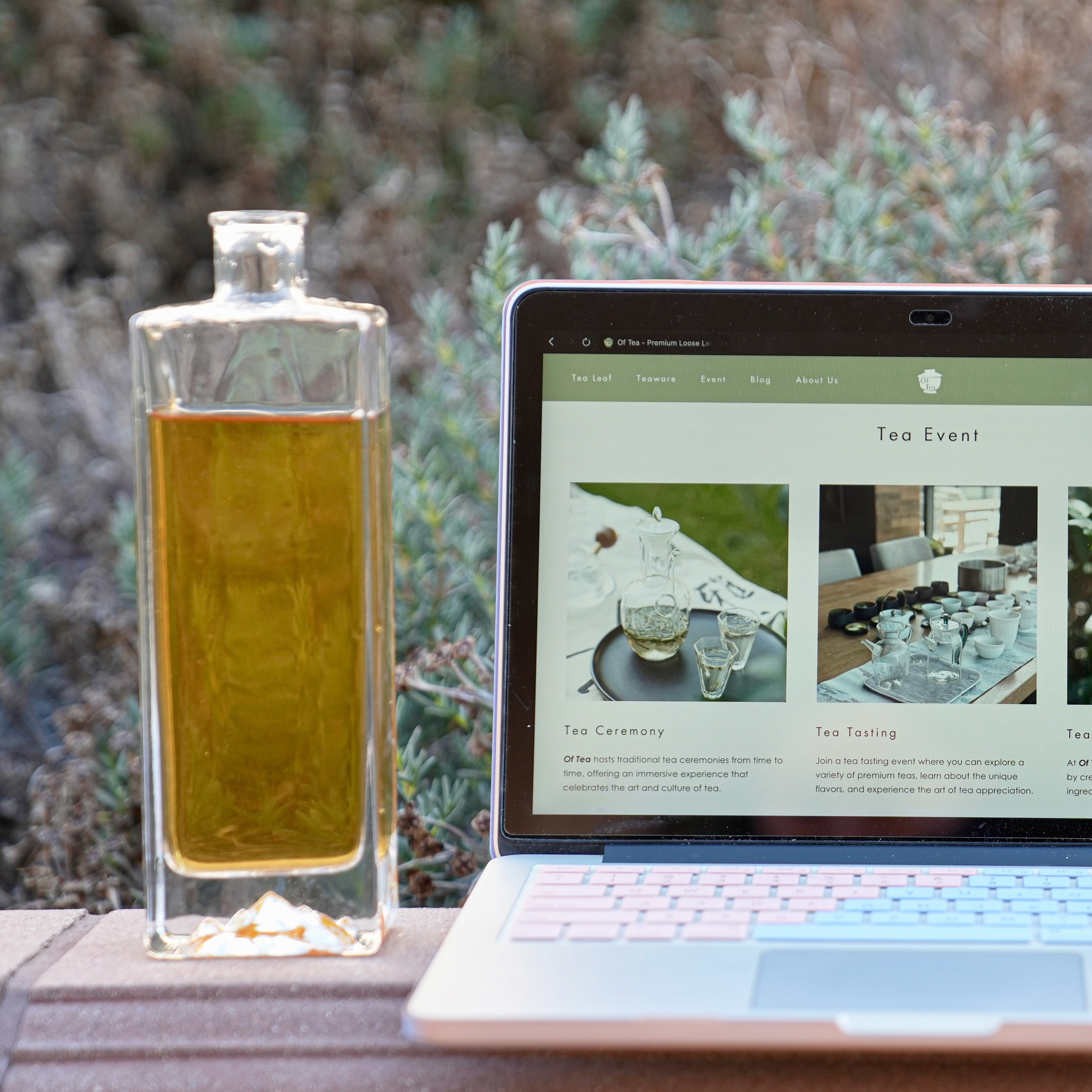 Guide to the Perfect Cold Brew Tea