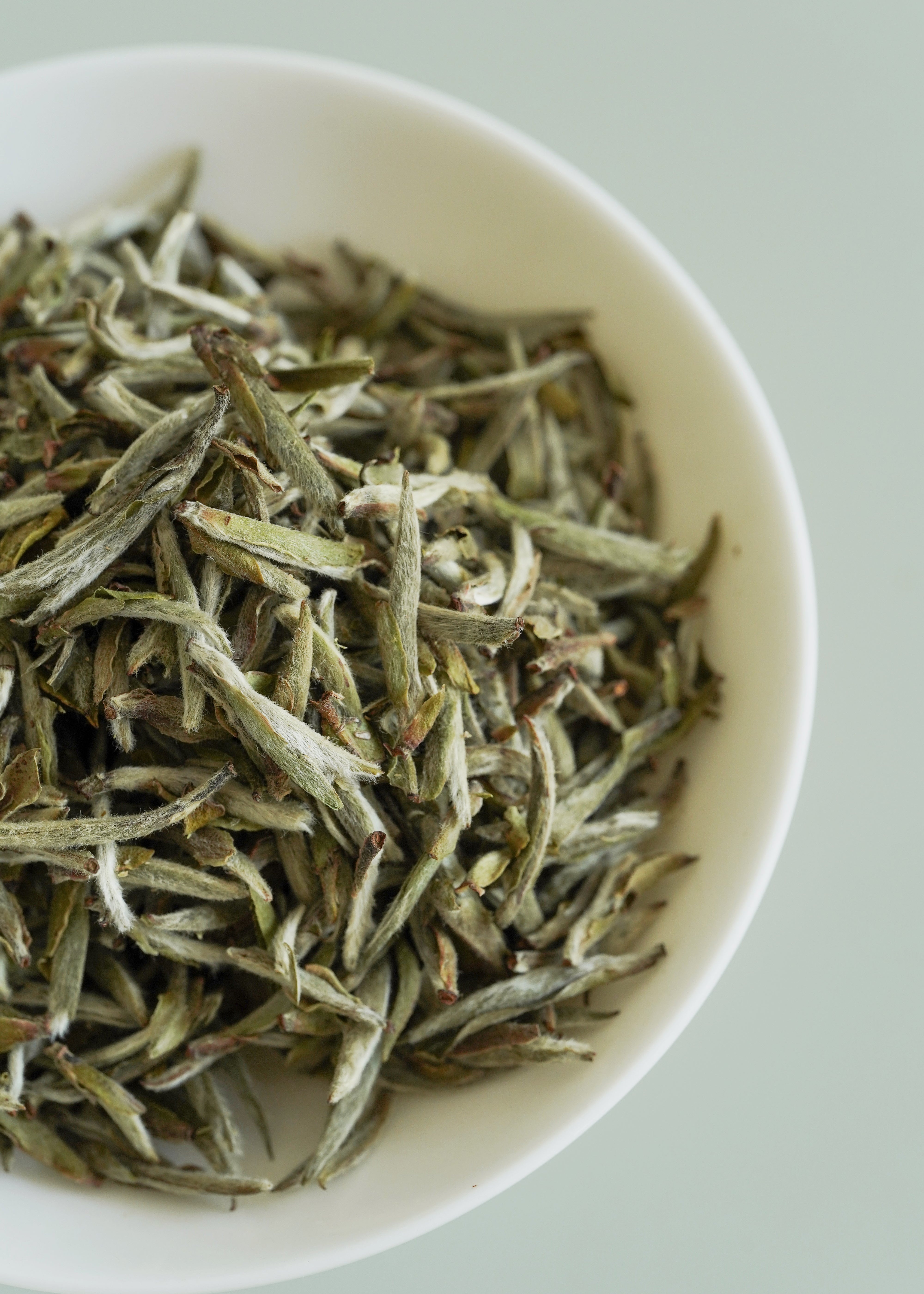 White bowl filled with dried green tea leaves on a light gray background. Silver Needle