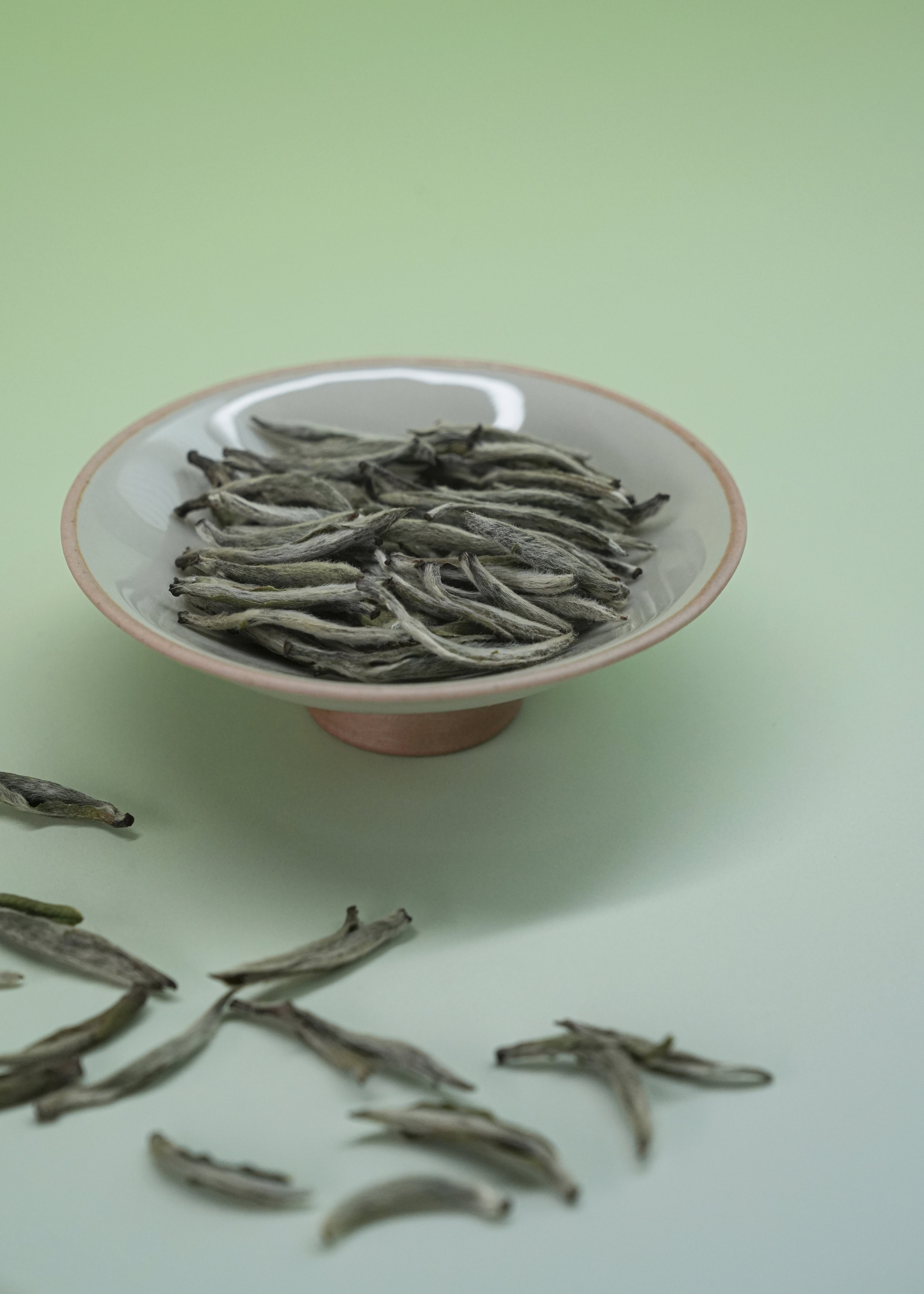 Silver Needle - White Tea