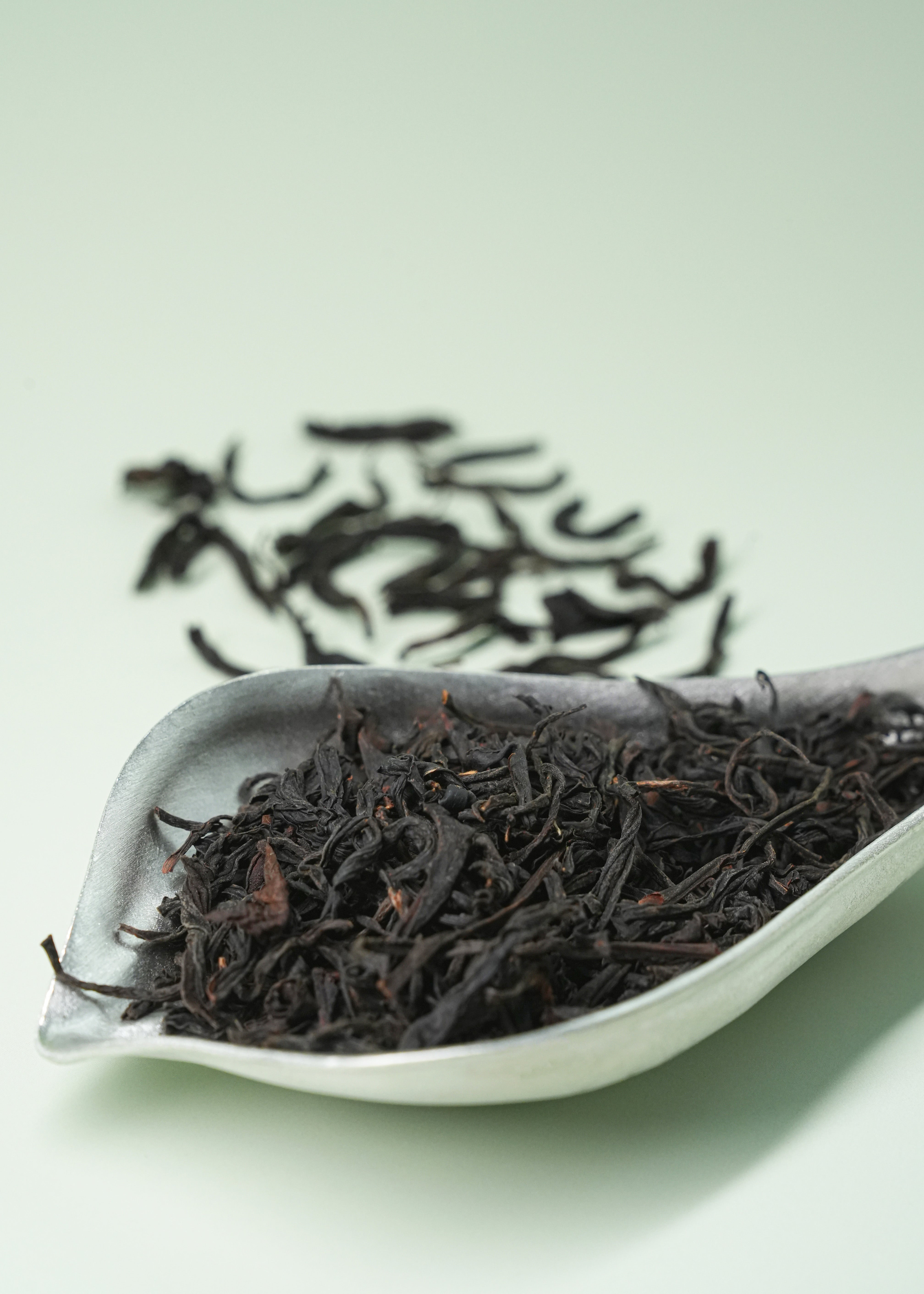 Wild Tree Black Tea - Black Tea